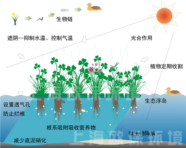 多年生抗风浪型生态浮岛净水原理图 多年生抗风浪型生态浮岛净水原理图