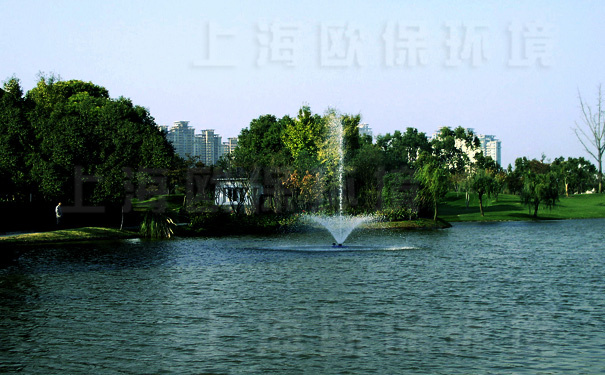 浮水喷泉曝气机在汤臣高尔夫人工湖治理中应用(六) 浮水喷泉曝气机在汤臣高尔夫人工湖治理中应用(六)