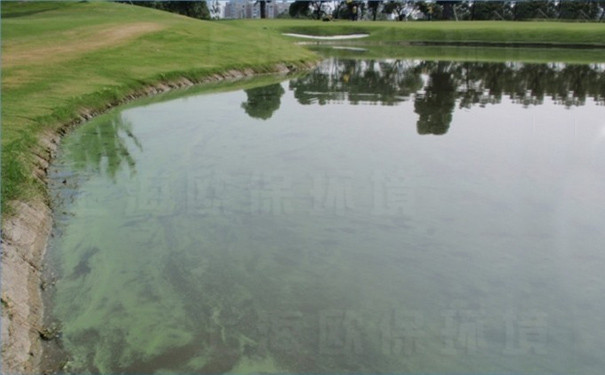 人工湖蓝藻问题 人工湖蓝藻问题