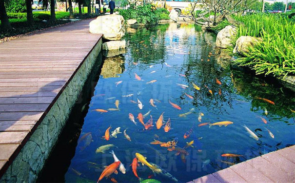 景观水处理,生物过滤技术 景观水处理,生物过滤技术