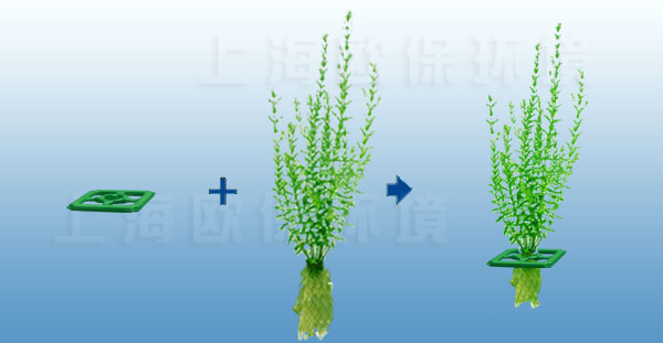 丛生型生态浮岛植物种植方式 丛生型生态浮岛植物种植方式