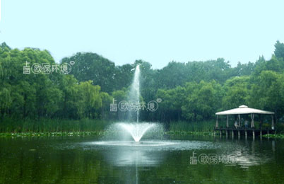 浮水喷泉曝气机工况 浮水喷泉曝气机工况