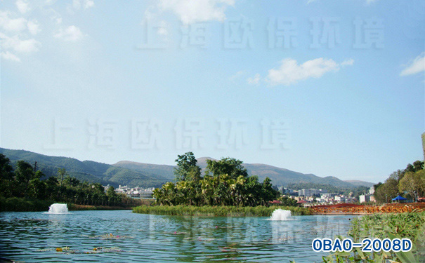 2008D提水式曝气机 2008D提水式曝气机