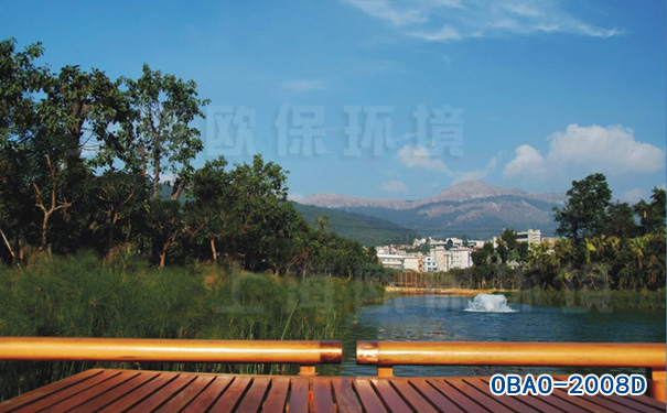 2008D提水式曝气机,景观河道 2008D提水式曝气机,景观河道
