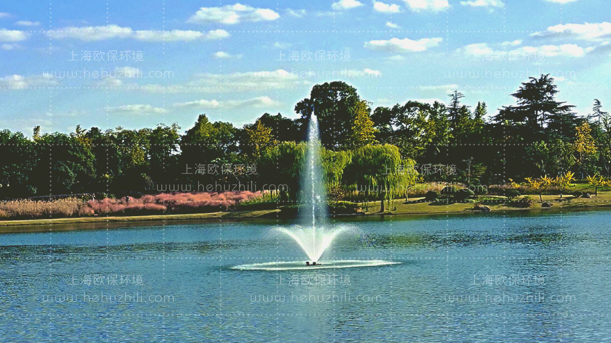 FANS2200喷泉曝气机应用于公园景观水体修复 FANS2200喷泉曝气机应用于公园景观水体修复