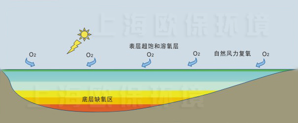 使用前水体自然分层明显,底层处于缺氧状态 使用前水体自然分层明显,底层处于缺氧状态