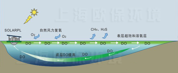 使用一段时间后,底层溶解氧提高,污染指标明显下降 使用一段时间后,底层溶解氧提高,污染指标明显下降