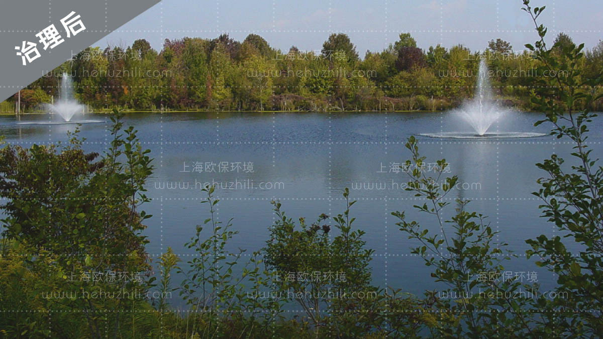 使用后-FANS2200喷泉曝气机强化水体自净,水色自然 使用后-FANS2200喷泉曝气机强化水体自净,水色自然