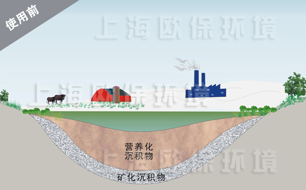 使用前,营养化沉积物挤占了水体有效容积,水质变差,藻类滋生 使用前,营养化沉积物挤占了水体有效容积,水质变差,藻类滋生