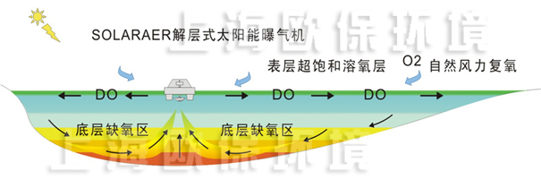 解层式太阳能曝气机运行初期 解层式太阳能曝气机运行初期