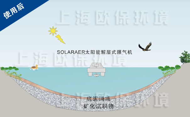 使用解层式太阳能曝气机后,底泥消减,水体新陈代谢平衡 使用解层式太阳能曝气机后,底泥消减,水体新陈代谢平衡