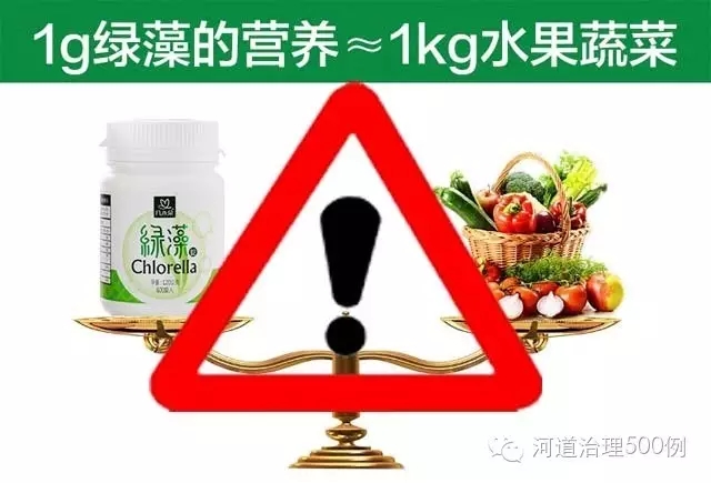 慎提蓝藻产业化及国外治理水华的成功做法 慎提蓝藻产业化及国外治理水华的成功做法