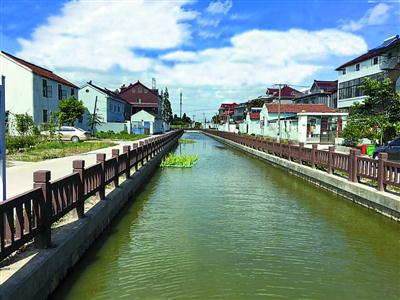 生态治理进入"深水区"的上海青浦怎样啃下"硬骨头" 生态治理进入"深水区"的上海青浦怎样啃下"硬骨头"