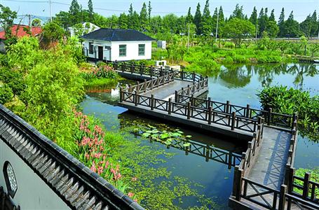 生态治理进入"深水区"的上海青浦怎样啃下"硬骨头" 生态治理进入"深水区"的上海青浦怎样啃下"硬骨头"