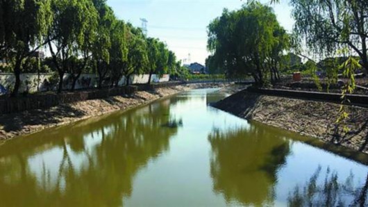 生态治理进入"深水区"的上海青浦怎样啃下"硬骨头" 生态治理进入"深水区"的上海青浦怎样啃下"硬骨头"