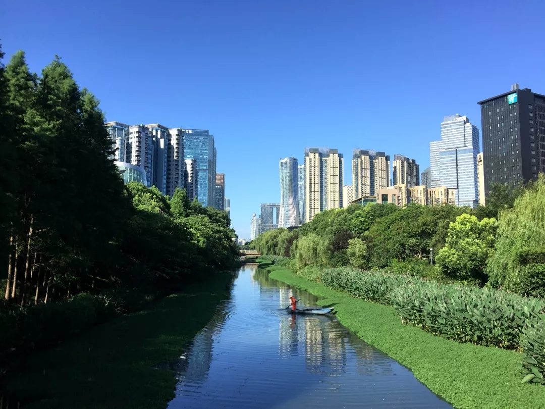 夏日&ldquo;水上乐园&rdquo;：解密欧保生态浮岛