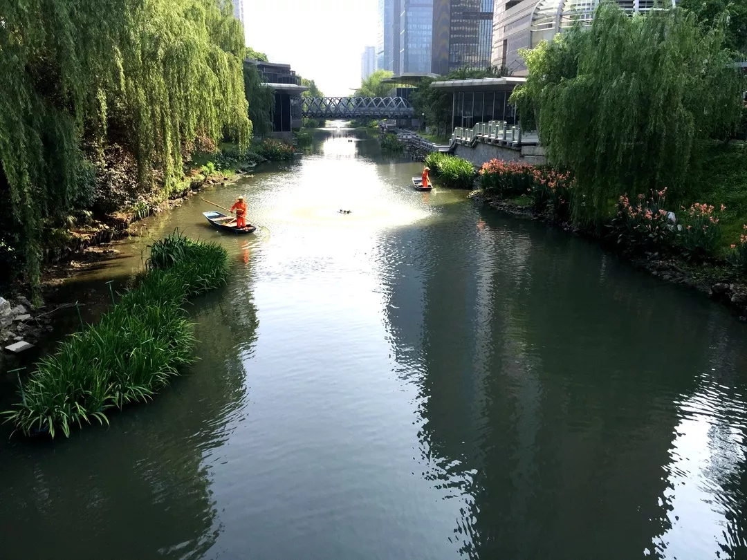 夏日&ldquo;水上乐园&rdquo;：解密欧保生态浮岛