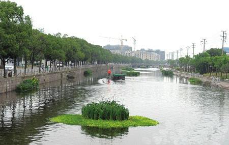 加大整治力度 改善河道生态环境