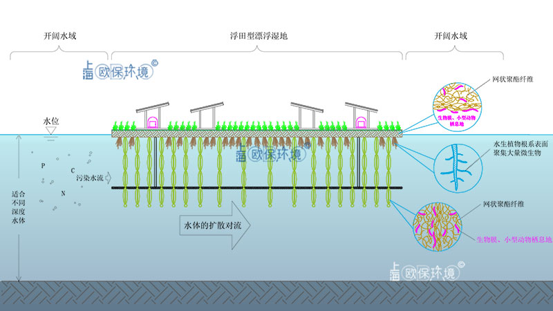 太阳能浮田型净水平台(太阳能曝气生物浮岛)净水原理 太阳能浮田型净水平台(太阳能曝气生物浮岛)净水原理
