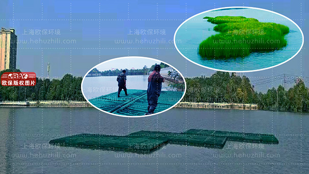 ZIPBIO-C201517,复合纤维浮动湿地 ZIPBIO-C201517,复合纤维浮动湿地