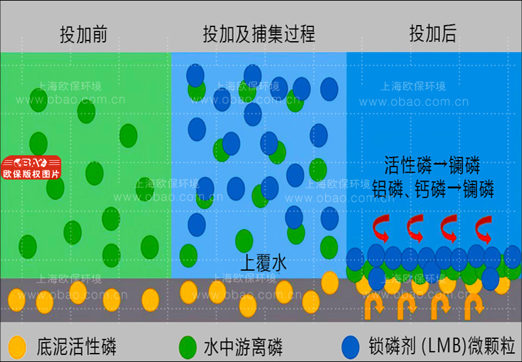 ZIPBIO-C生物倍增菌方(生物蜡块) ZIPBIO-C生物倍增菌方(生物蜡块)