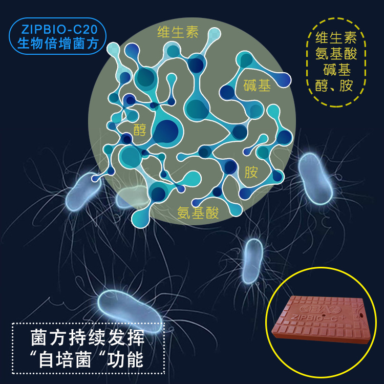 ZIPBIO-C生物倍增菌方(生物蜡块) ZIPBIO-C生物倍增菌方(生物蜡块)