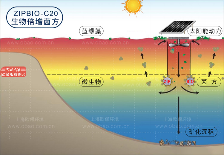 ZIPBIO-C生物倍增菌方(生物蜡块) ZIPBIO-C生物倍增菌方(生物蜡块)