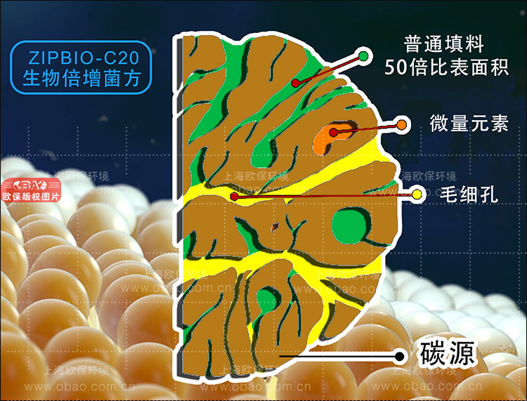 ZIPBIO生物倍增菌(生物蜡块) ZIPBIO生物倍增菌(生物蜡块)