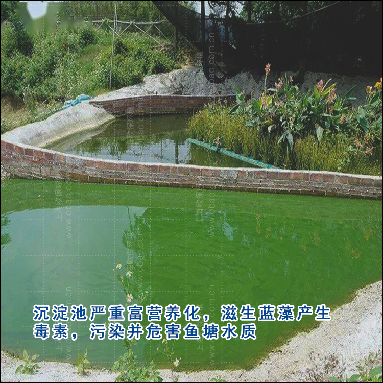 三池两坝的第一道池:沉淀池 三池两坝的第一道池:沉淀池