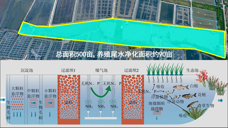 传统三池两坝工艺，占地面积大，性价比不高