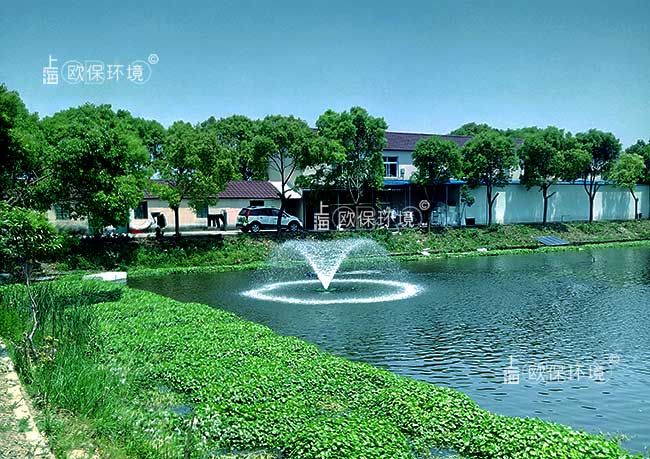 喷泉曝气机使用工况(一) 喷泉曝气机使用工况(一)