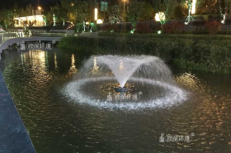喷泉曝气机使用工况(二) 喷泉曝气机使用工况(二)